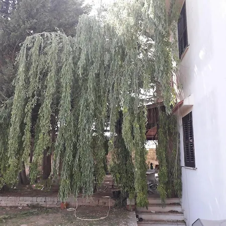 Victoria راغوزا